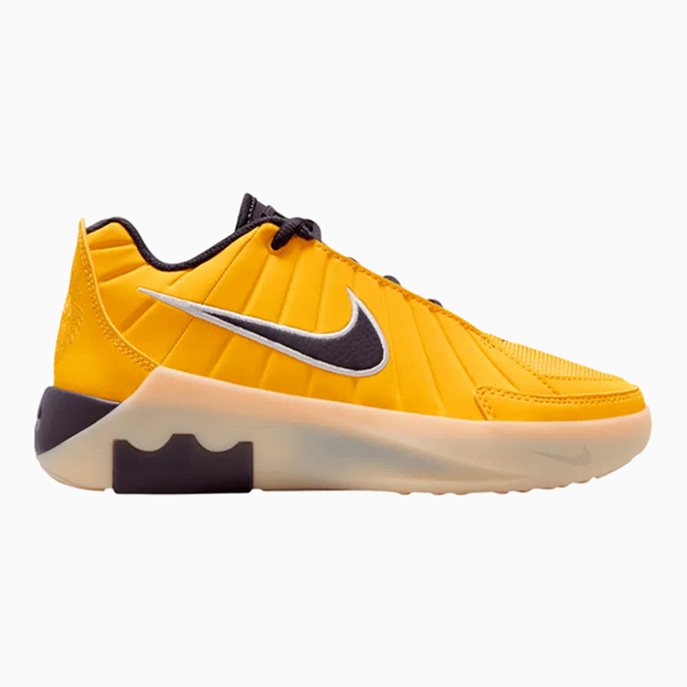 Lebron Witness Ix (GS)
