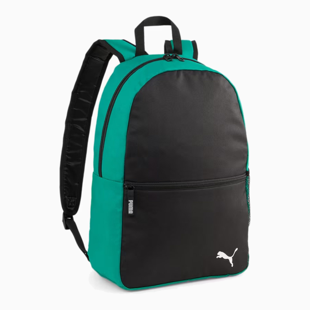 Puma TeamGOAL 090238-01