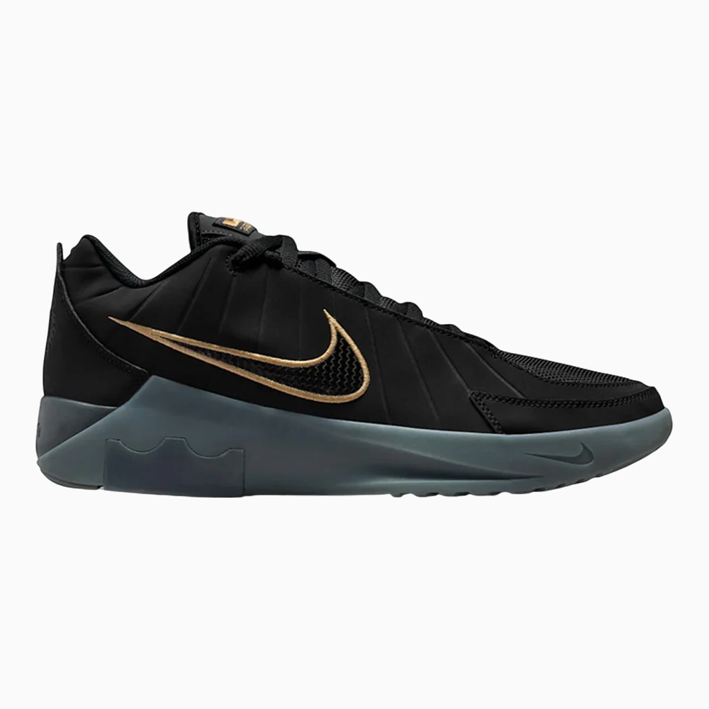 Lebron Witness Ix